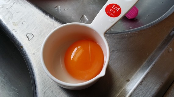 Pasture-Raised Egg Yolk - it's practically glowing red it's so dense with nutrients.