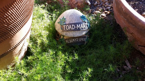 Cute Toad House - Always Open… that's how I feel about mom's house in general.
