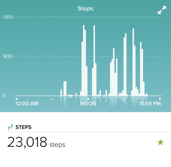 A great day of steps. It was almost 10 miles.