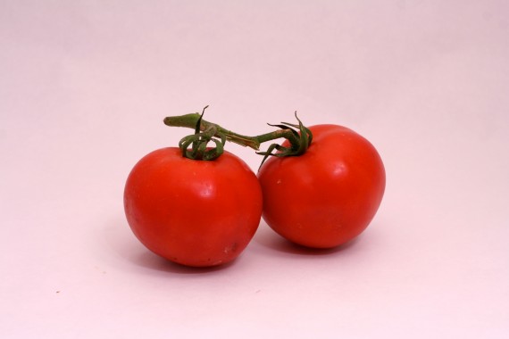 Organic tomatoes on the vine