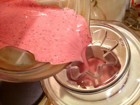 Pouring the mixture into my Cuisinart ice cream maker.