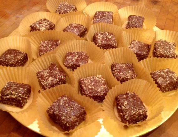 Sticky Chocolate Coconut Squares (Gluten Free, Raw, Paleo)