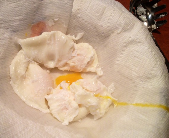 If you're not gentle when transferring the eggs, they can break like one of mine did. Sigh.