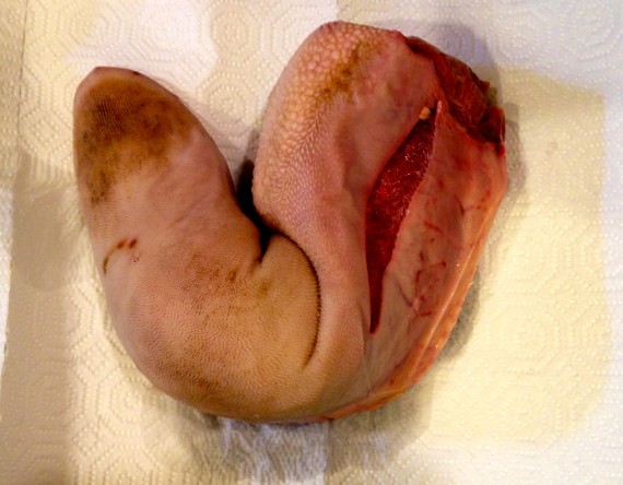 Grass fed organic beef tongue. Are you ready?