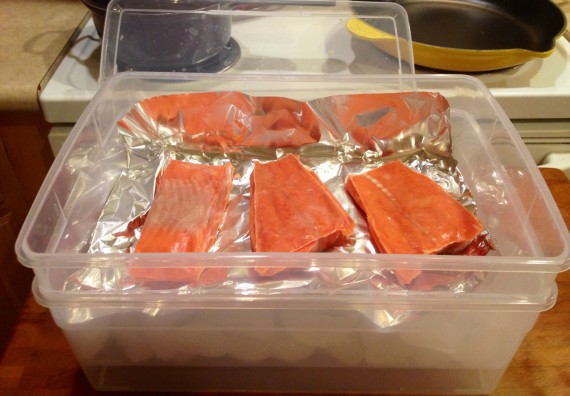 Wild caught sockeye salmon is unwrapped and placed in container.