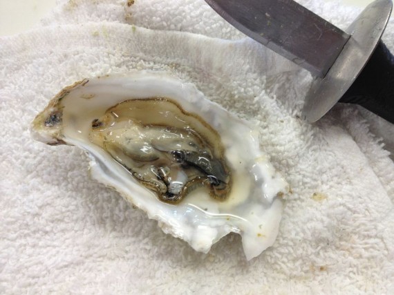 Raw oyster. Real Food Fast Food. #Zinc