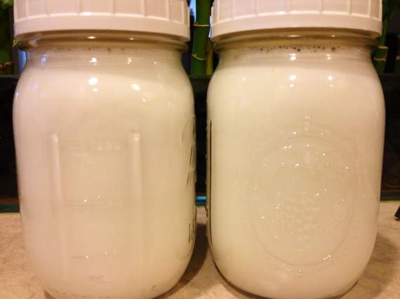 Homemade Vanilla Coconut Milk (Paleo. Vegan.)