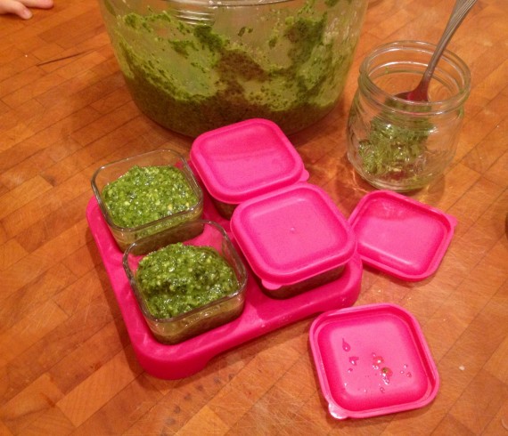 Pesto (#HerbalMedicine) going into little cups for freezing.