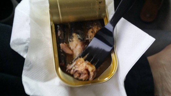 Eating sardines from the can on the road trip.
