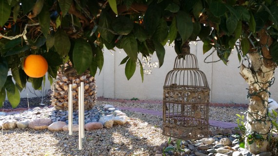 Wind chimes and bird house on the orange tree. Totally cute.