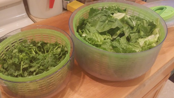 Salad spinners store greens right in the fridge. 