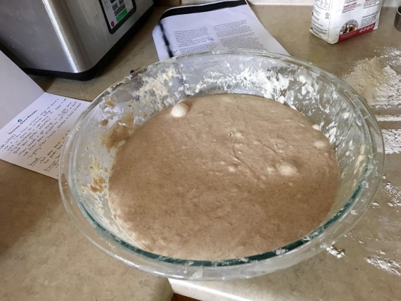 The bird's eye view of healthy sourdough dough.